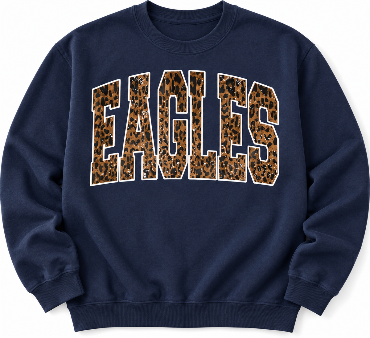 Cheetah EAGLES- VB fundraiser