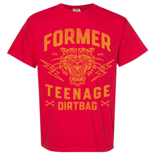 Teenage Dirtbag