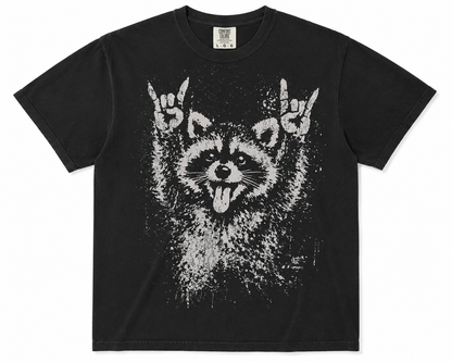 Rock on Racoon