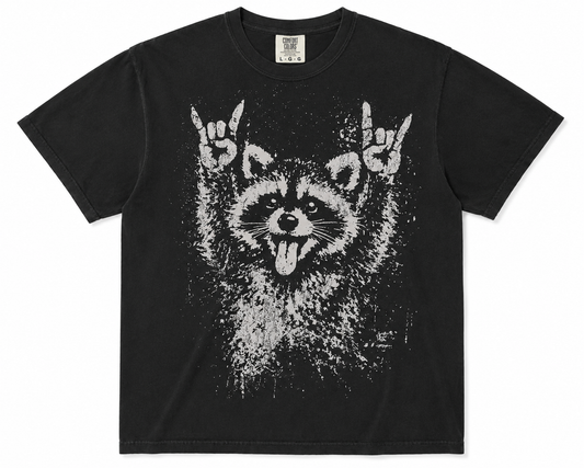 Rock on Racoon