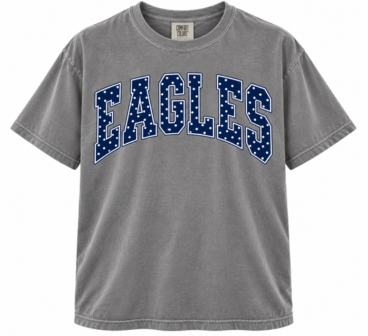 Eagles Polka Dot-VB Fundraiser