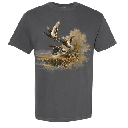 Flying Ducks